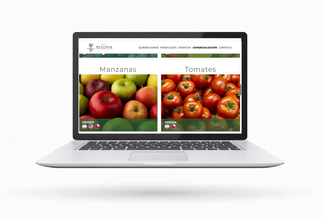 sitio web de Atxona